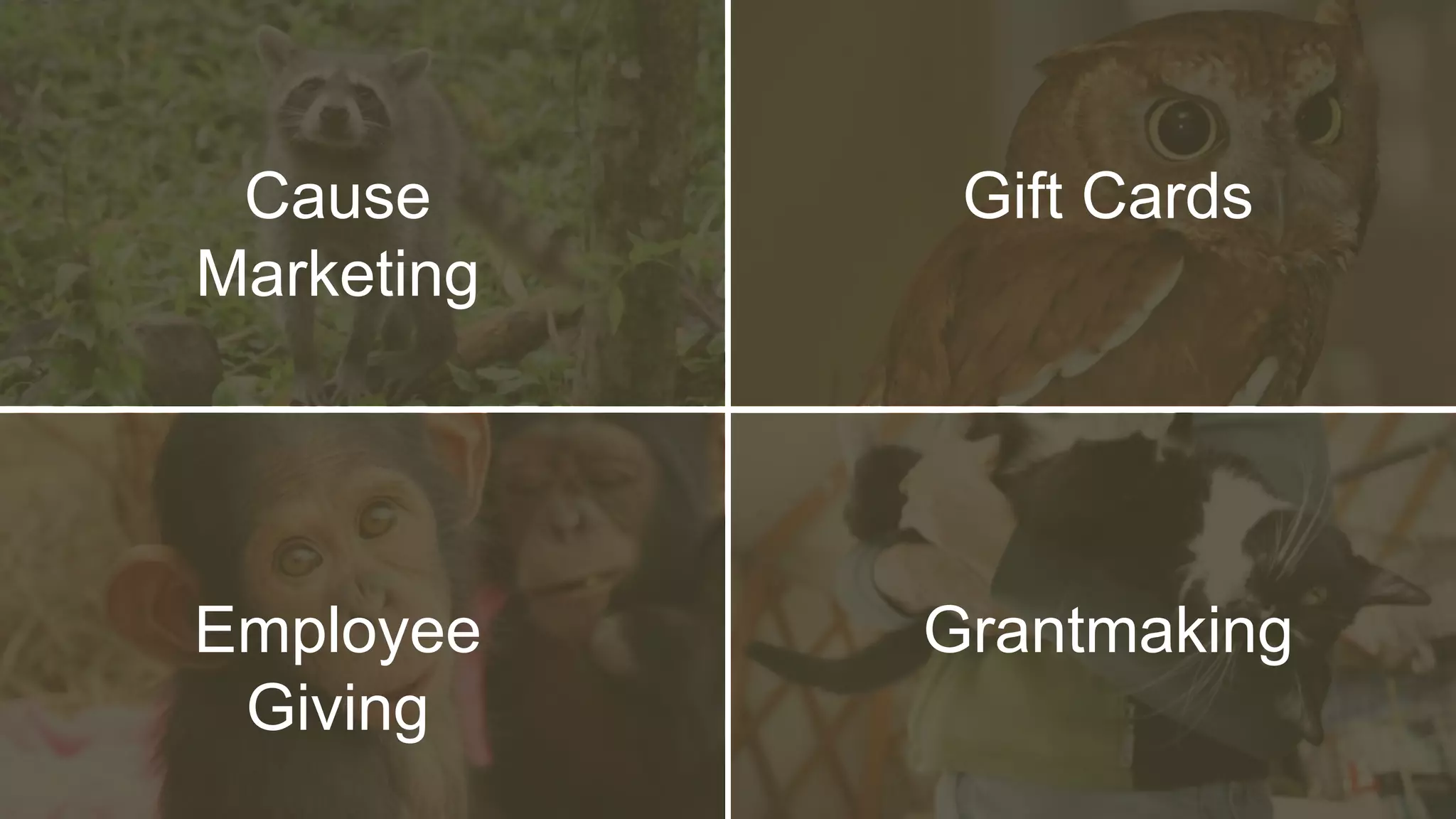 Cause
Marketing
Gift Cards
Employee
Giving
Grantmaking
 