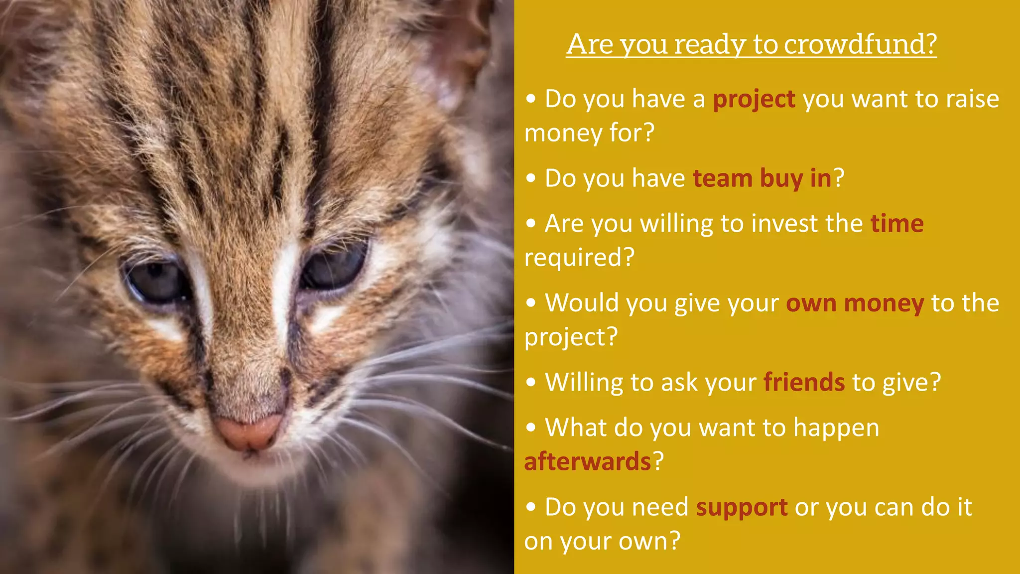 • Do you have a project you want to raise
money for?
• Do you have team buy in?
• Are you willing to invest the time
required?
• Would you give your own money to the
project?
• Willing to ask your friends to give?
• What do you want to happen
afterwards?
• Do you need support or you can do it
on your own?
 