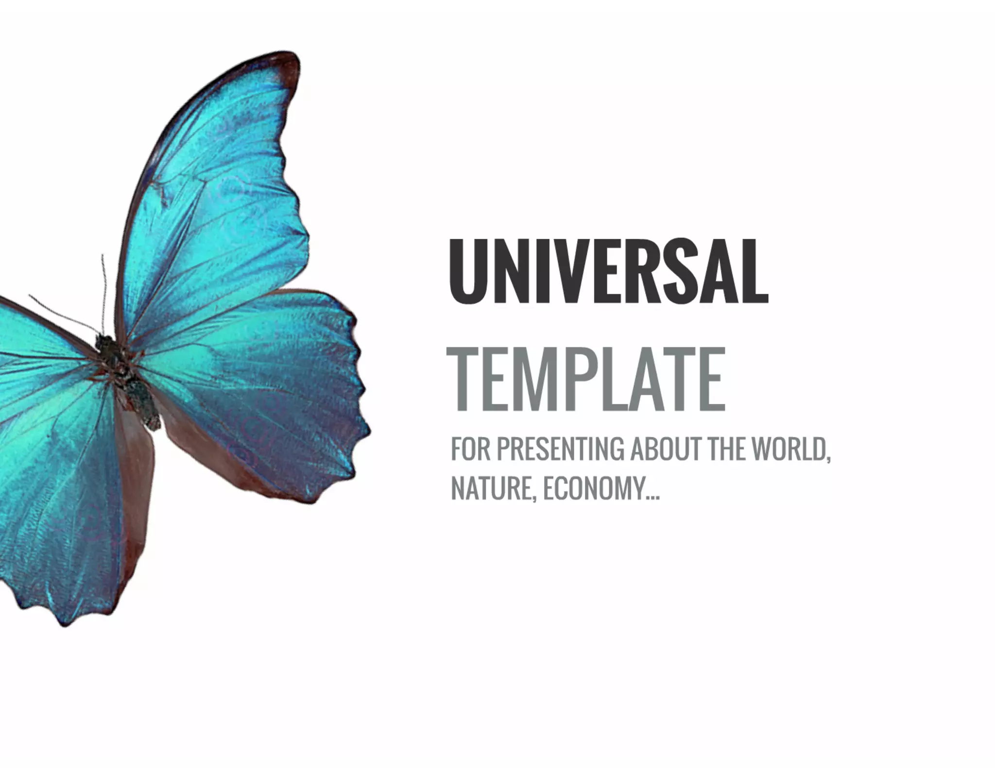 Animated Business Template