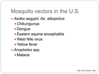 Mosquito vectors in the U.S.
 Aedes aegypti, Ae. albopictus
 Chikungunya
 Dengue
 Eastern equine encephalitis
 West Nile virus
 Yellow fever
 Anopheles spp.
 Malaria
CDC, 2014; Zucker, 1996
 