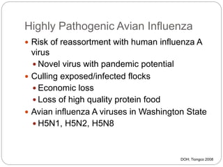 Highly Pathogenic Avian Influenza
 Risk of reassortment with human influenza A
virus
 Novel virus with pandemic potential
 Culling exposed/infected flocks
 Economic loss
 Loss of high quality protein food
 Avian influenza A viruses in Washington State
 H5N1, H5N2, H5N8
DOH; Tiongco 2008
 