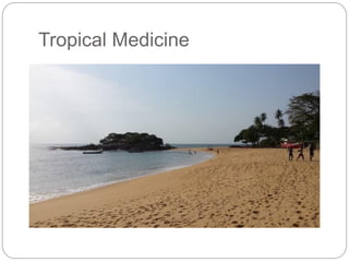 Tropical Medicine
 