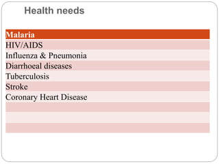 HEALTH SYSTEMS IN NIGERIA | PPTX