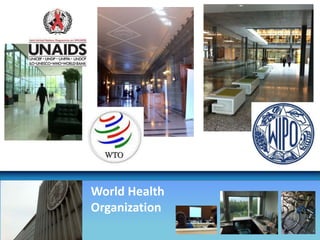 World Health
Organization
 
