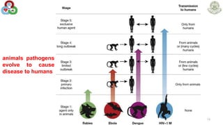 13
animals pathogens
evolve to cause
disease to humans
 