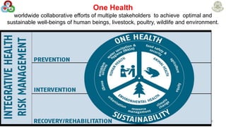 One Health
worldwide collaborative efforts of multiple stakeholders to achieve optimal and
sustainable well-beings of human beings, livestock, poultry, wildlife and environment.
26
 