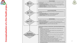 27
Conceptualization
of
a
One
Health
project.
 