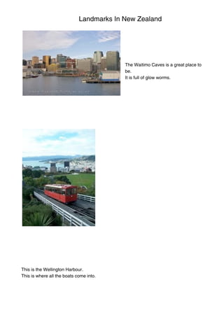 Landmarks In New Zealand
The Waitimo Caves is a great place to
be.
It is full of glow worms.
This is the Wellington Harbour.
This is where all the boats come into.