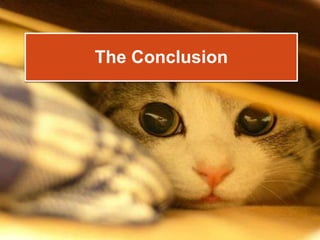 The Conclusion
 