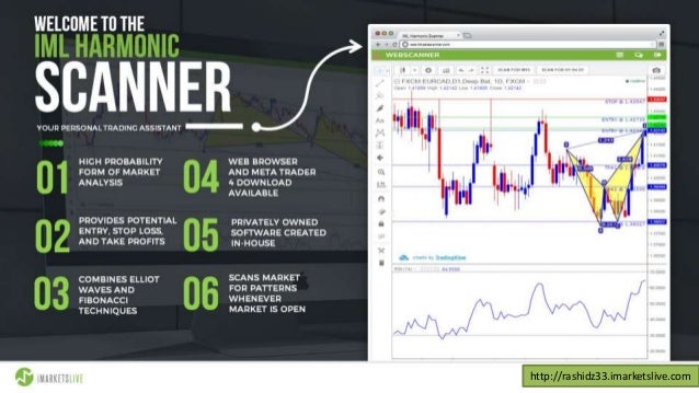 Iml forex