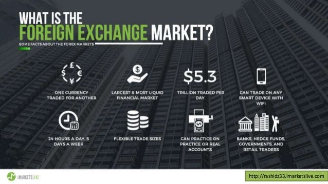 Iml academy forex