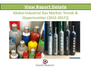 Global Industrial Gas Market: Trends &
Opportunities (2012-2017)]
View Report Details
 