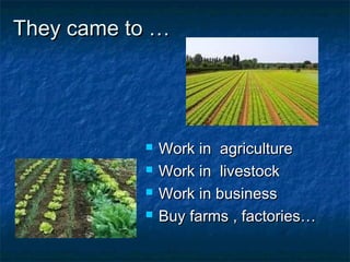 They came to …They came to …
 Work in agricultureWork in agriculture
 Work in livestockWork in livestock
 Work in businessWork in business
 Buy farms , factories…Buy farms , factories…
 
