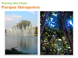 Touring São PauloParqueIbirapuera