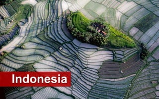 Indonesia
 