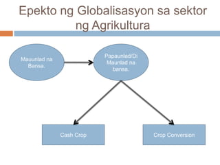 Epekto ng Globalisasyon sa sektor
ng Agrikultura
Mauunlad na
Bansa.
Papaunlad/Di
Maunlad na
bansa.
Cash Crop Crop Conversion
 