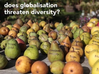 does globalisation
threaten diversity?
 
