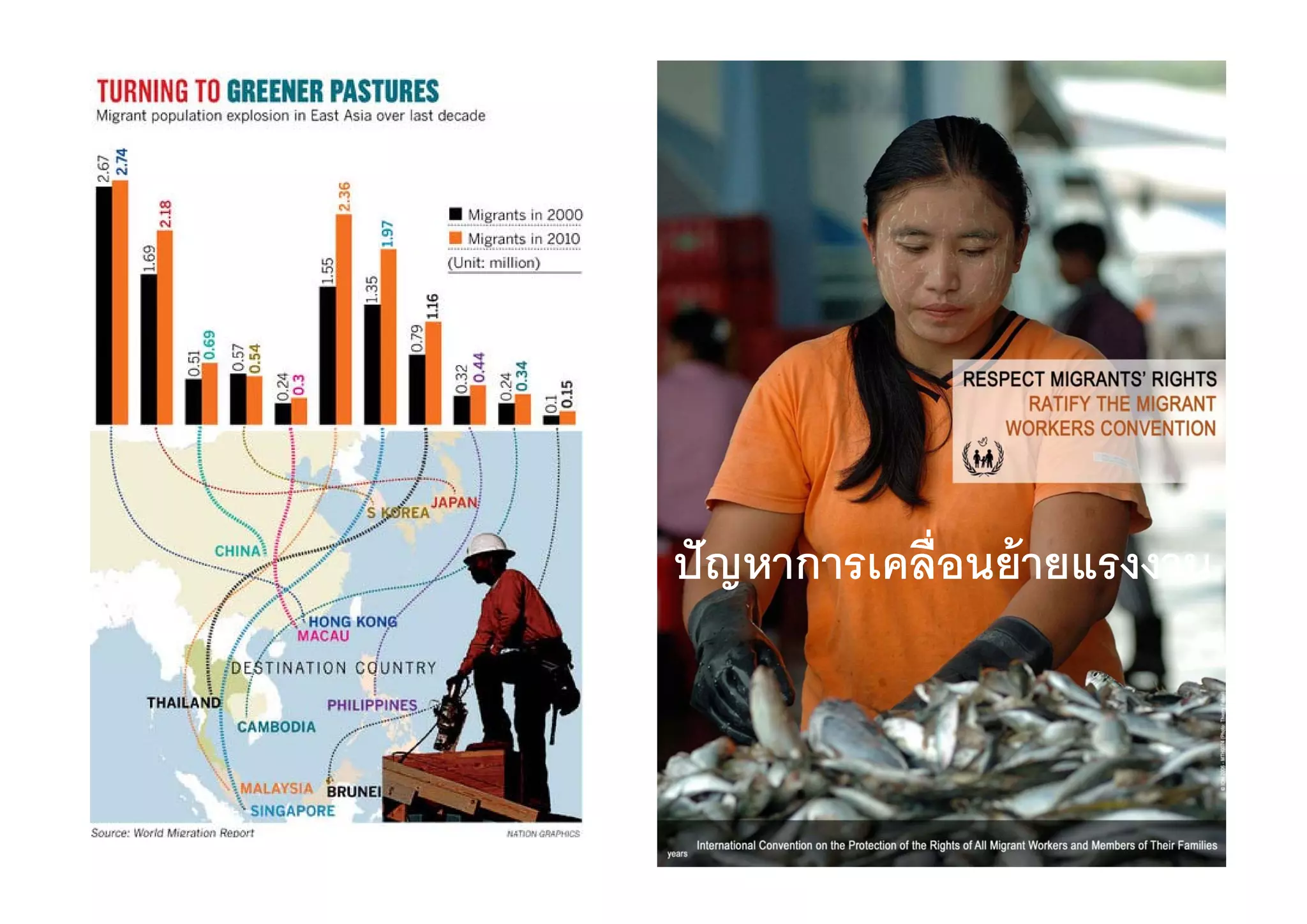 ปญหาการเคลอนยายแรงงาน
ปั ญหาการเคลื่อนย้ ายแรงงาน
 