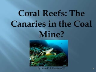 Coral Reefs: The
Canaries in the Coal
      Mine?


      By: Kate P. & Harrison W.
 