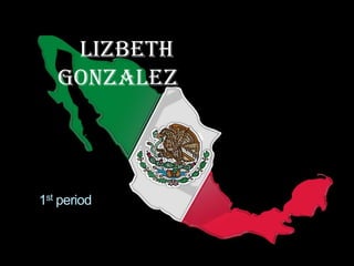       Lizbeth Gonzalez 1st period 