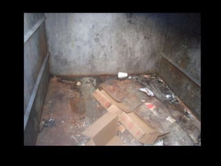 Global issues photos 2010