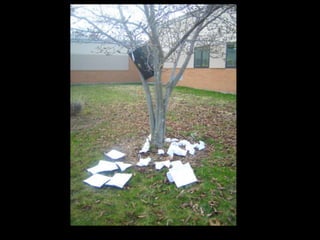 Global issues photos 2010