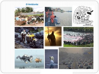 O Ambiente
 