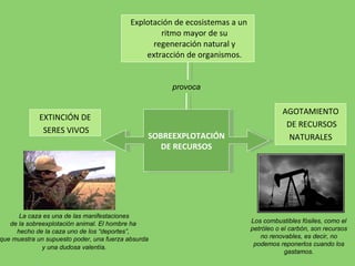 Explotación de ecosistemas a un ritmo mayor de su regeneración natural y extracción de organismos. SOBREEXPLOTACIÓN  DE RECURSOS provoca EXTINCIÓN DE SERES VIVOS AGOTAMIENTO DE RECURSOS NATURALES La caza es una de las manifestaciones de la sobreexplotación animal. El hombre ha  hecho de la caza uno de los “deportes”,  que muestra un supuesto poder, una fuerza absurda y una dudosa valentía .  Los combustibles fósiles, como el petróleo o el carbón, son recursos no renovables, es decir, no podemos reponerlos cuando los gastamos. 