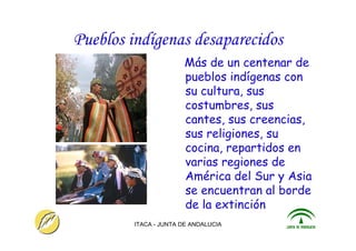 ITACA - JUNTA DE ANDALUCIA 13
Pueblos indígenas desaparecidos
Más de un centenar de
pueblos indígenas con
su cultura, sus
costumbres, sus
cantes, sus creencias,
sus religiones, su
cocina, repartidos en
varias regiones de
América del Sur y Asia
se encuentran al borde
de la extinción
 
