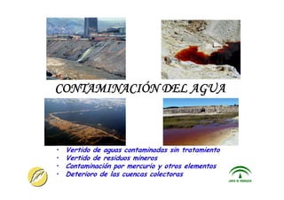ITACA - JUNTA DE ANDALUCIA 20
CONTAMINACIÓN DEL AGUA
• Vertido de aguas contaminadas sin tratamiento
• Vertido de residuos mineros
• Contaminación por mercurio y otros elementos
• Deterioro de las cuencas colectoras
 