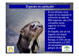 ITACA - JUNTA DE ANDALUCIA 24
• En los últimos cinco
siglos se ha causado la
extinción de más de
800 especies, una cifra
cincuenta veces
superior al ritmo
natural
• En España, uno de los
lugares con mayor
biodiversidad de
Europa, el 33% de los
vertebrados y el 15%
de las plantas corren
peligro de desaparecer.
Especies en extinción
 