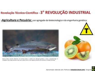 Apresentação elaborada pela Professora FERNANDA BRUM LOPES - Geografia
-Agricultura e Pecuária: uso agregado da biotecnologia e da engenharia genética.
Mesma idade, tamanho diferente: em primeiro plano, o salmão sem alteração genética, e atrás, o AquAdvantage. O
transgênico não atinge tamanho maior que o peixe comum, mas chega ao tamanho de mercado em metade do tempo
 