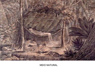 MEIO NATURAL 