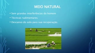 MEIO NATURAL
• Sem grandes interferências do homem
• Técnicas rudimentares;
• Descanso do solo para sua recuperação.
 