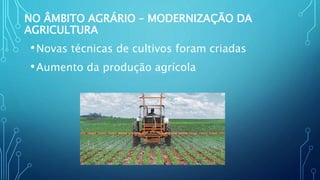 NO ÂMBITO AGRÁRIO – MODERNIZAÇÃO DA
AGRICULTURA
•Novas técnicas de cultivos foram criadas
•Aumento da produção agrícola
 