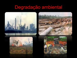 Degradação ambiental 
