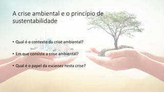 A crise ambiental e o princípio de
sustentabilidade
• Qual é o contexto da crise ambiental?
• Em que consiste a crise ambiental?
• Qual é o papel da escassez nesta crise?
 