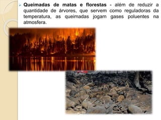  Queimadas de matas e florestas - além de reduzir a
quantidade de árvores, que servem como reguladoras da
temperatura, as queimadas jogam gases poluentes na
atmosfera.
 