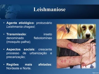 Leishmaniose
• Agente etiológico: protozoário
Leishmania chagasi;
• Transmissão: inseto
denominado flebotomíneo
(mosquito palha);
• Aspectos sociais: crescente
processo de urbanização e
precarização;
• Regiões mais afetadas:
Nordeste e Norte.
 