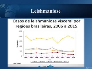 Leishmaniose
 