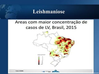 Leishmaniose
 
