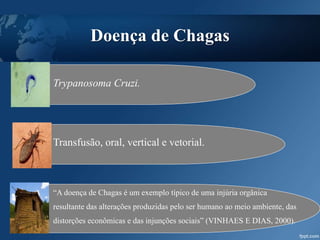 Doença de Chagas
Trypanosoma Cruzi.
Transfusão, oral, vertical e vetorial.
“A doença de Chagas é um exemplo típico de uma injúria orgânica
resultante das alterações produzidas pelo ser humano ao meio ambiente, das
distorções econômicas e das injunções sociais” (VINHAES E DIAS, 2000).
 