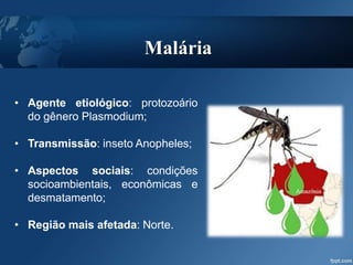 Malária
• Agente etiológico: protozoário
do gênero Plasmodium;
• Transmissão: inseto Anopheles;
• Aspectos sociais: condições
socioambientais, econômicas e
desmatamento;
• Região mais afetada: Norte.
 