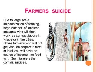 FARMERS SUICIDE
Due to large scale
mechanization of farming
large number of landless
peasants who will then
work as contract labors in
village or in the cities.
Those farmer’s who will not
get work on corporate farm
or in cities , will have no
source of income , no food
to it . Such farmers then
commit suicides.
 