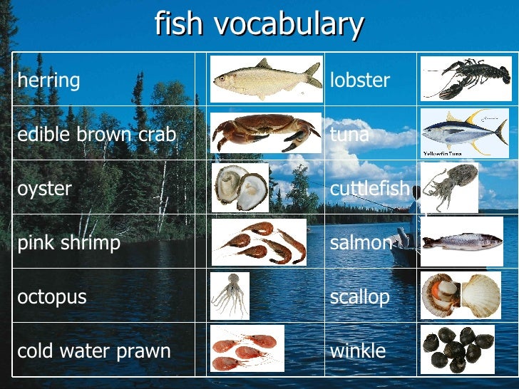 Globalization Fish Quotas