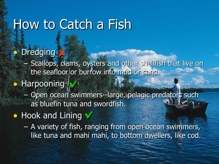 Globalization Fish Quotas