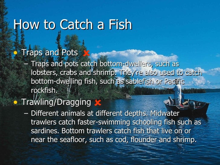 Globalization Fish Quotas