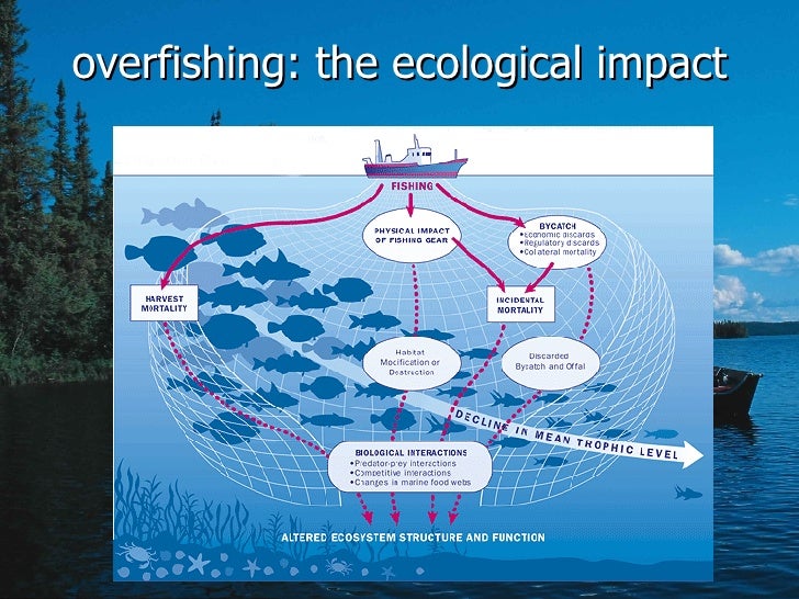 Globalization Fish Quotas