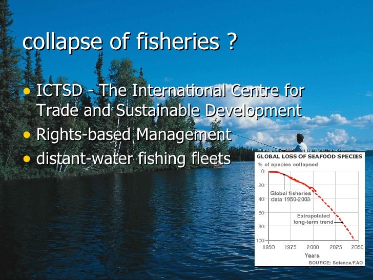 Globalization Fish Quotas