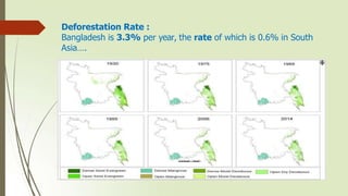 Deforestation Rate :
Bangladesh is 3.3% per year, the rate of which is 0.6% in South
Asia….
 